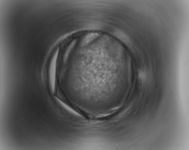 X0000088190676200705292013