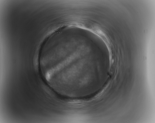 X0000088190677200705292013