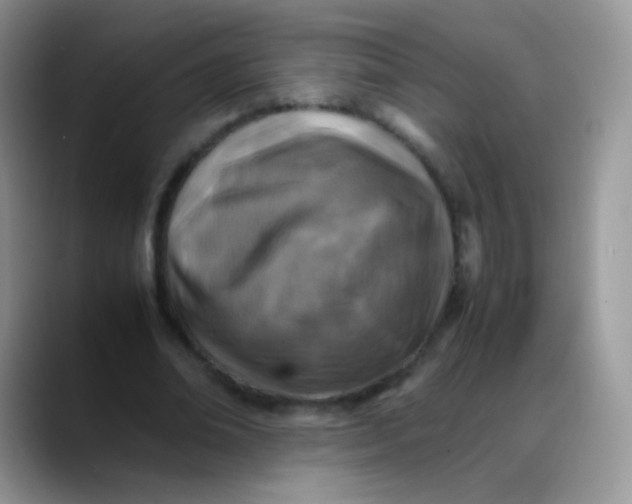 X0000088190678200705292013