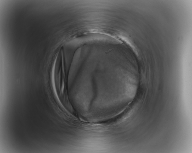 X0000088190681200705292013
