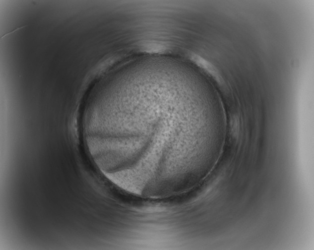 X0000088190682200705292013