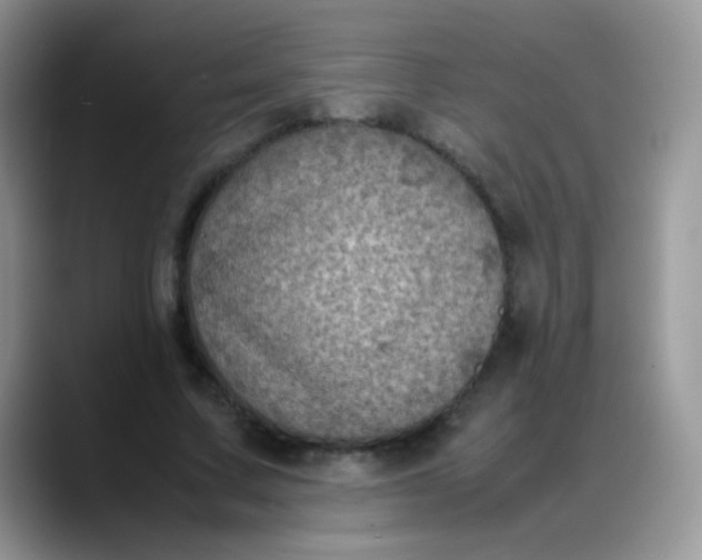 X0000088190683200705292013