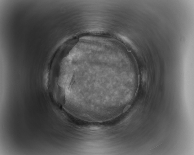 X0000088190684200705292013