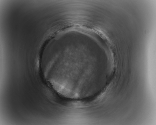X0000088190685200705292012