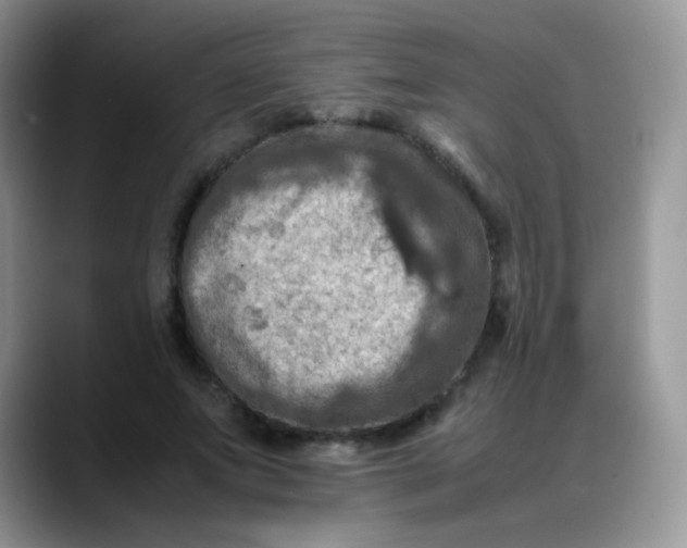 X0000088190687200705292012
