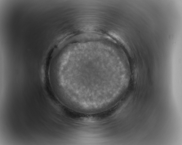 X0000088190688200705292012