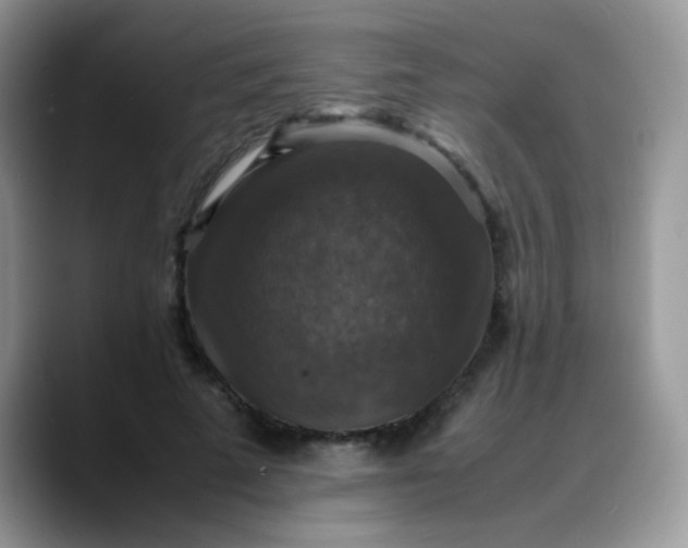 X0000088190689200705292012
