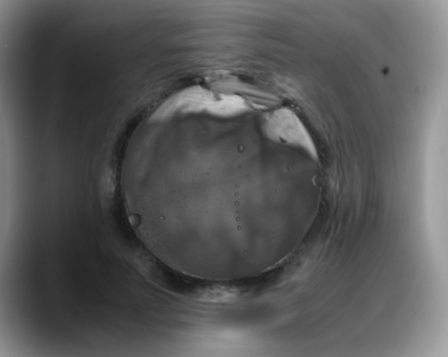 X0000088190691200705292012