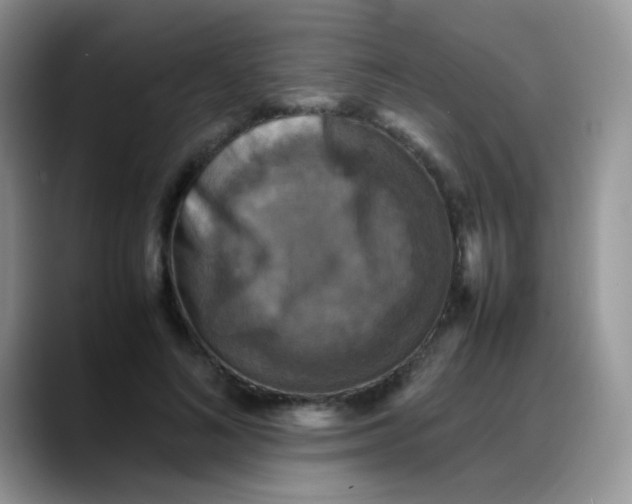 X0000088190692200705292012