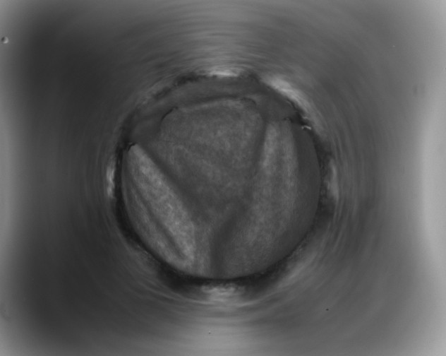X0000088190693200705292012