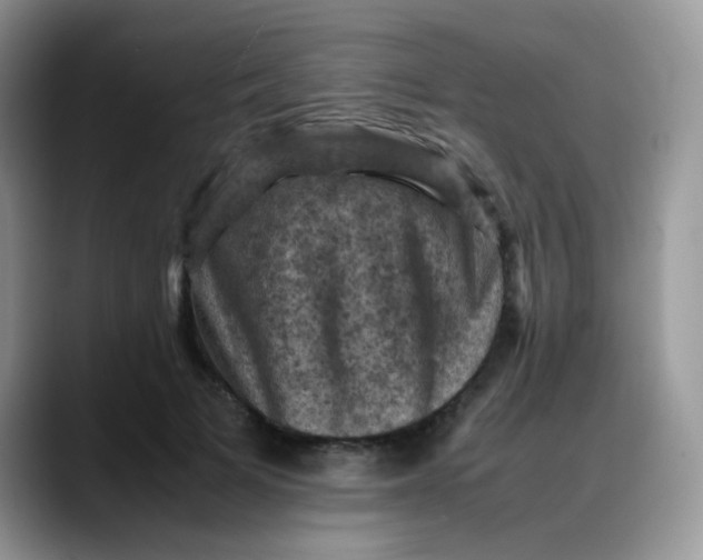X0000088190697200705292012