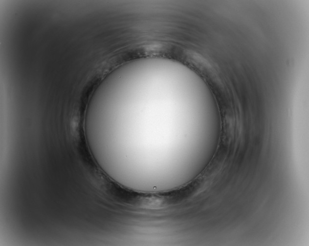 X0000088190698200705292012