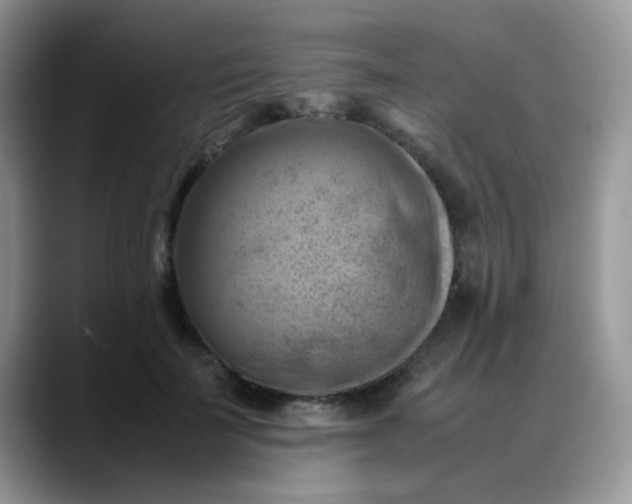 X0000088190699200705292012