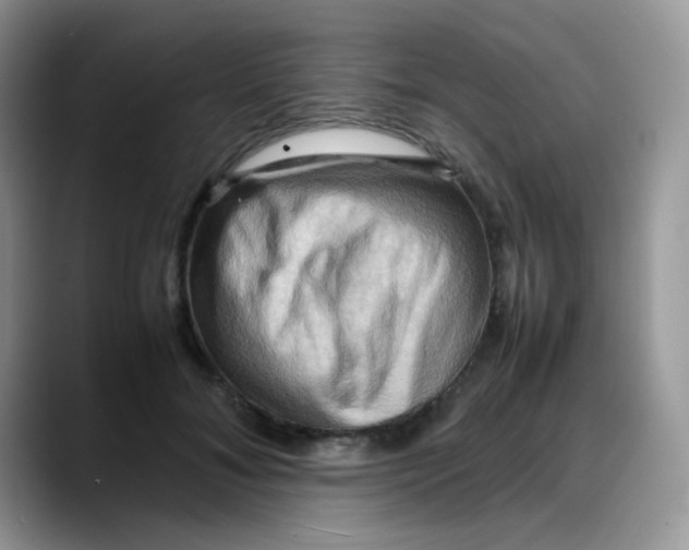 X0000088190700200705292012