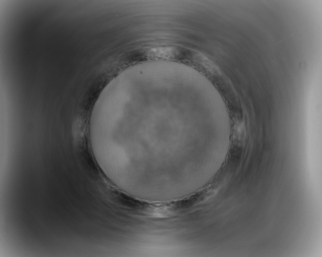 X0000088190701200705292012