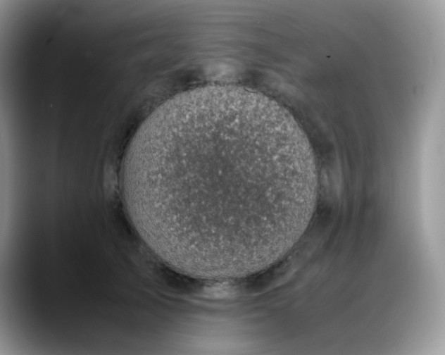 X0000088190705200705292012