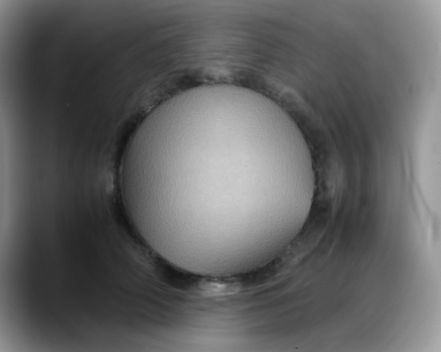 X0000088190706200705292012