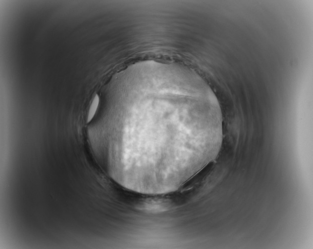 X0000088190708200705292012