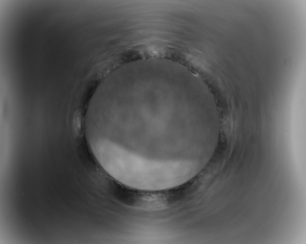 X0000088190709200705292012