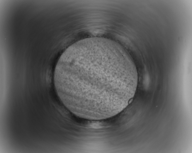 X0000088190710200705292012