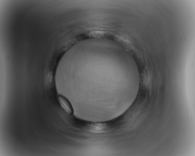 X0000088190711200705292012
