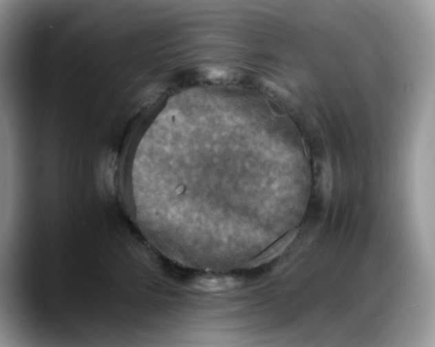 X0000088190712200705292012