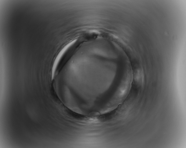 X0000088190715200705292012