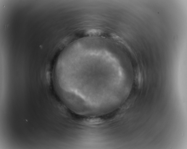 X0000088190716200705292012