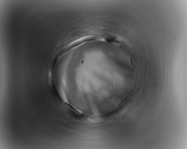 X0000088190720200705292012