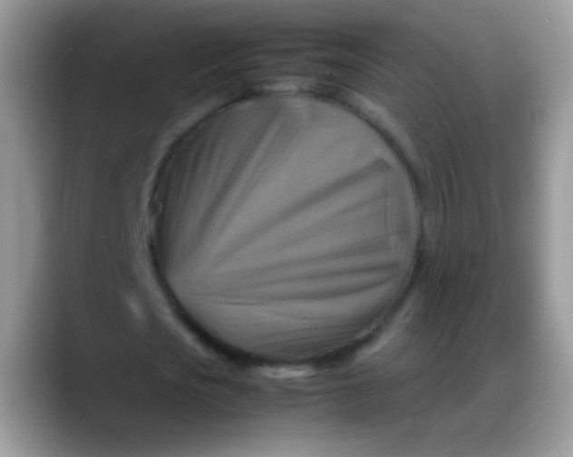 X0000088190721200705292011