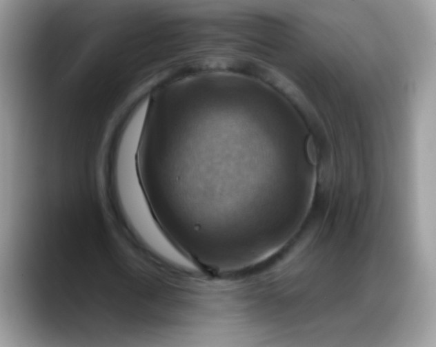 X0000088190722200705292011
