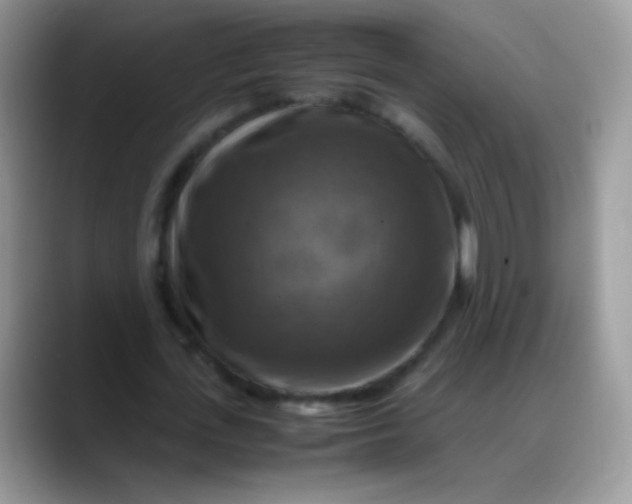 X0000088190723200705292011