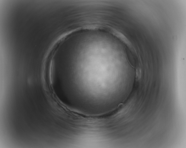 X0000088190724200705292011
