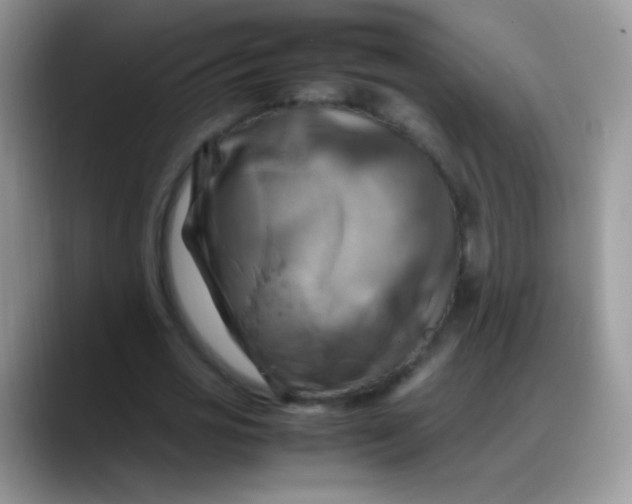 X0000088190725200705292011