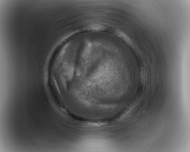 X0000088190726200705292011