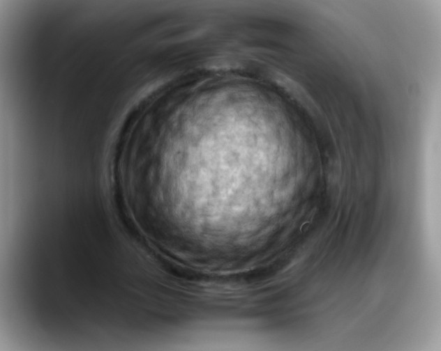 X0000088190727200705292011