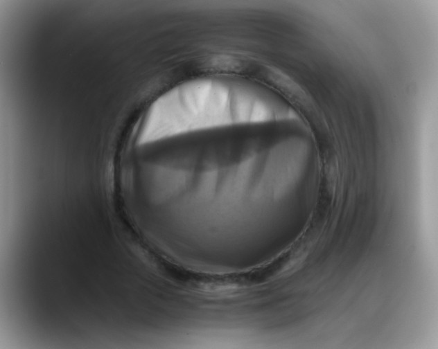 X0000088190729200705292012