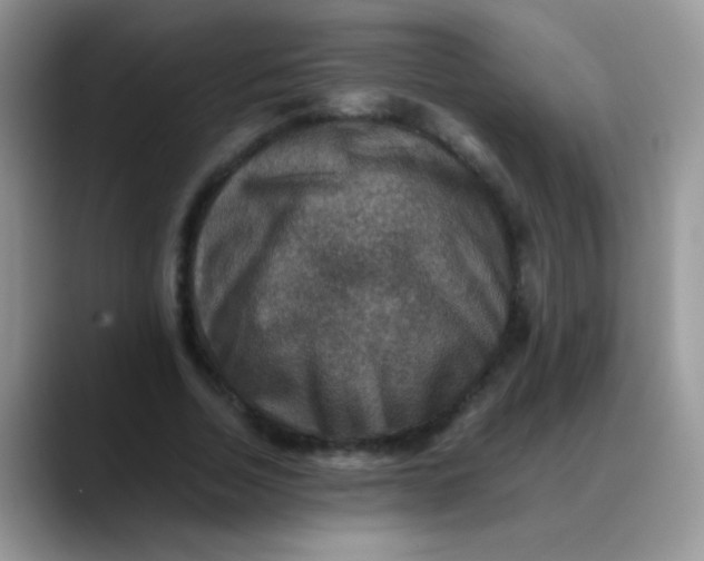 X0000088190730200705292012