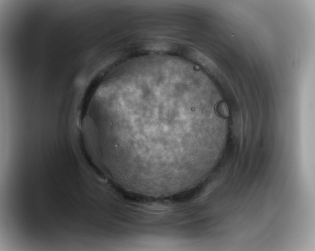 X0000088190731200705292012