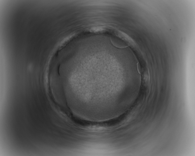 X0000088190732200705292012