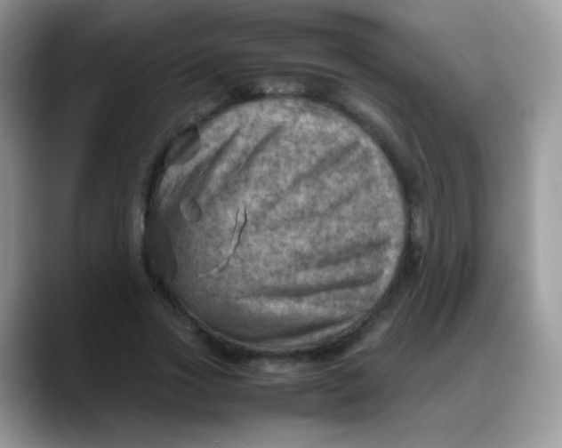 X0000088190733200705292012