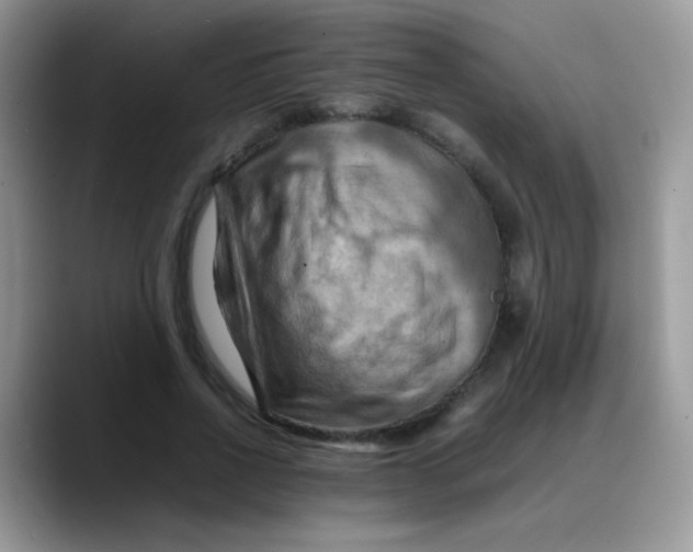 X0000088190734200705292012