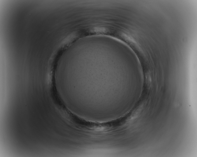 X0000088190735200705292012