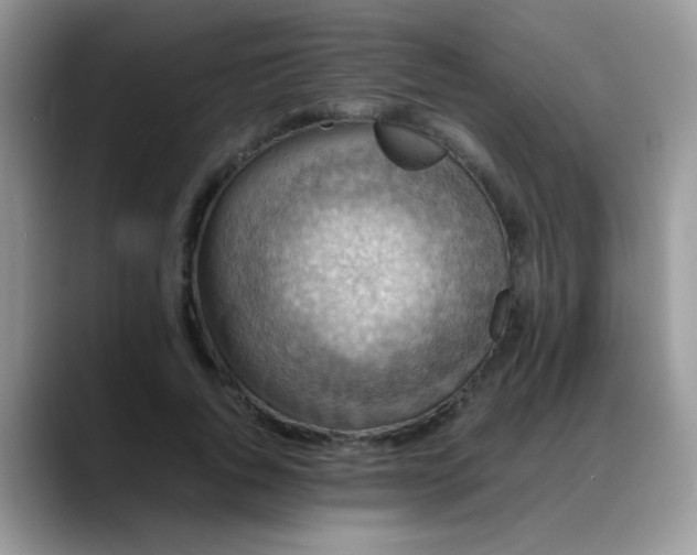 X0000088190736200705292012