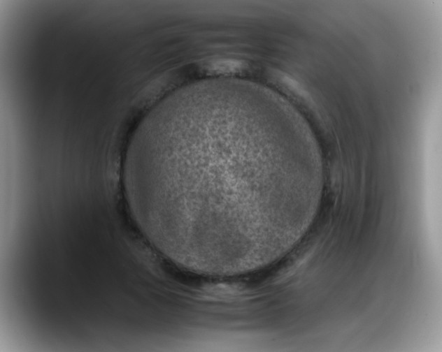X0000088190737200705292012