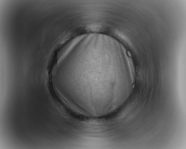 X0000088190738200705292012