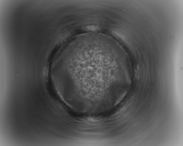 X0000088190739200705292012