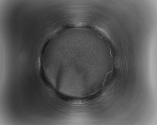 X0000088190740200705292012