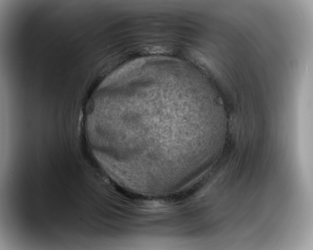 X0000088190741200705292012