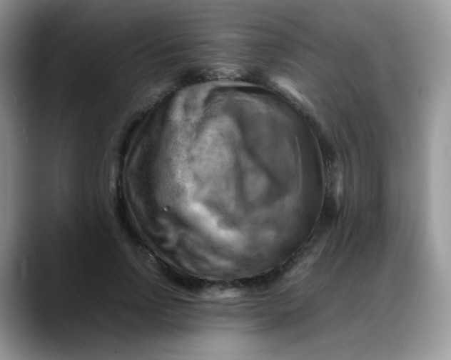 X0000088190742200705292012